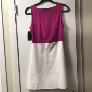 Zara Basic Pink and White Dress